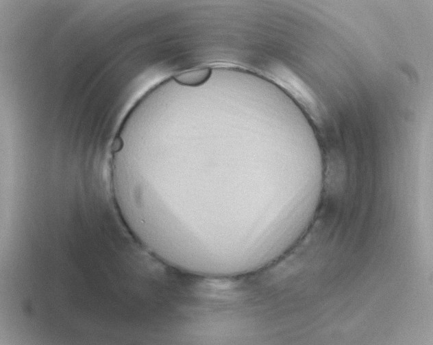 X0000116591190201001071228