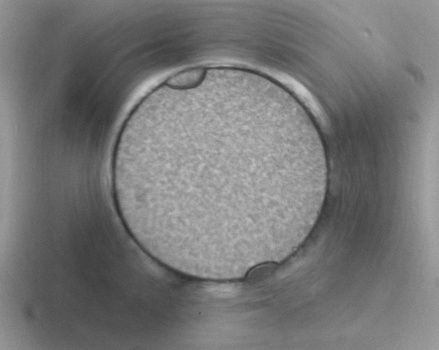 X0000116591191201001071228