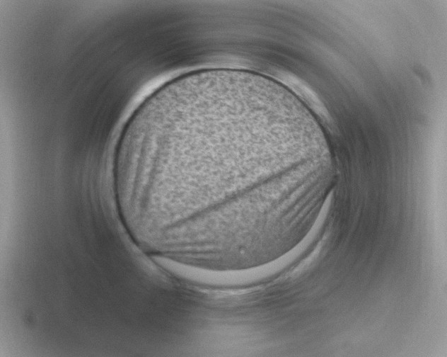 X0000116591192201001071228