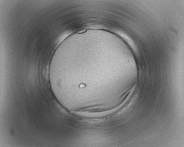 X0000116591193201001071228