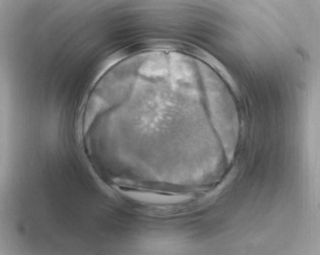 X0000116591194201001071228