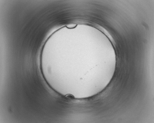 X0000116591195201001071228