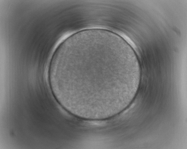 X0000116591197201001071228