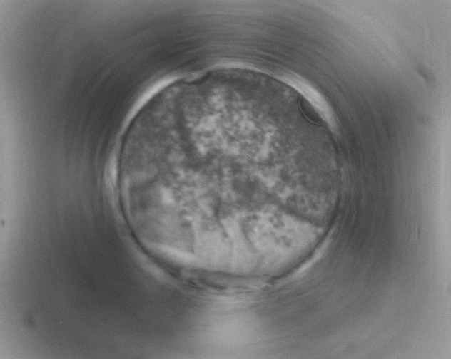 X0000116591198201001071228