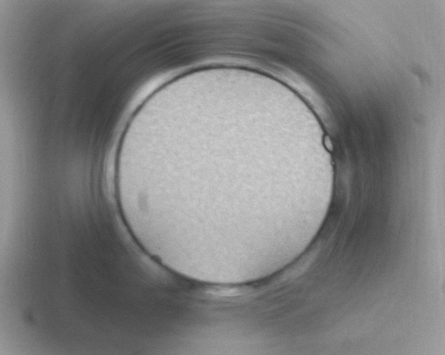 X0000116591199201001071228