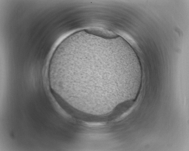 X0000116591200201001071228