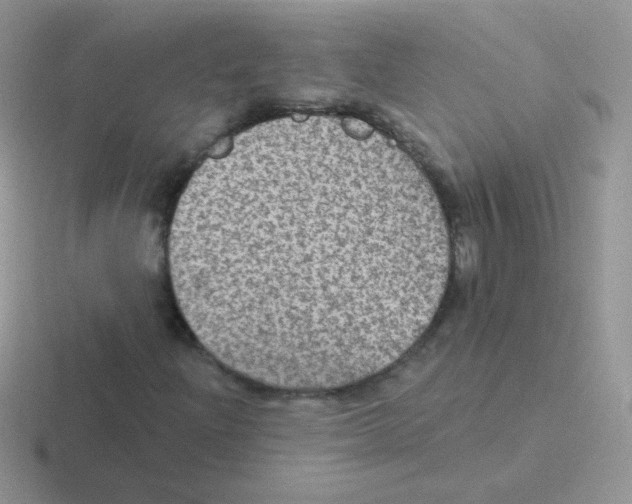 X0000116591204201001071227