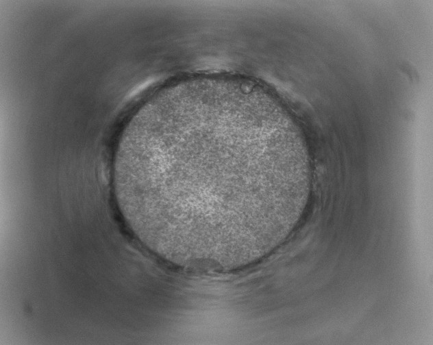 X0000116591206201001071227