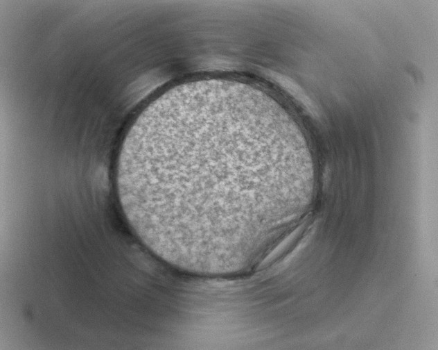 X0000116591209201001071227