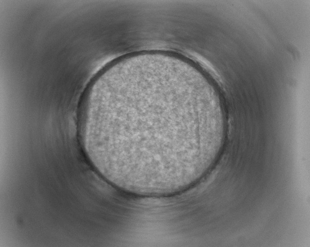 X0000116591212201001071227