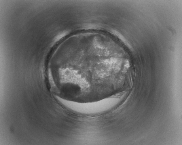 X0000116591213201001071227