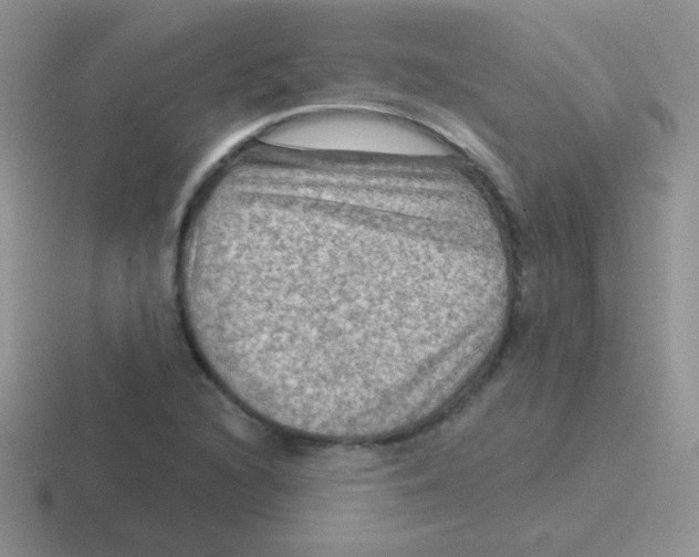 X0000116591216201001071227