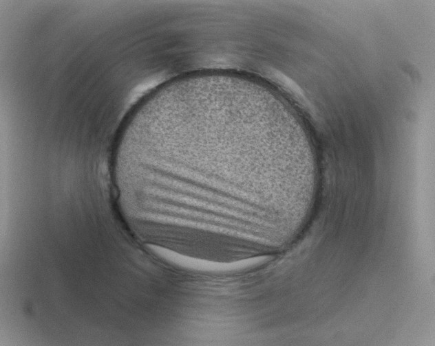 X0000116591218201001071227