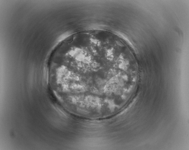 X0000116591219201001071227