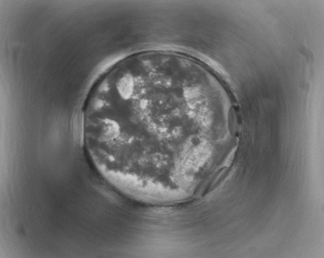 X0000116591223201001071227