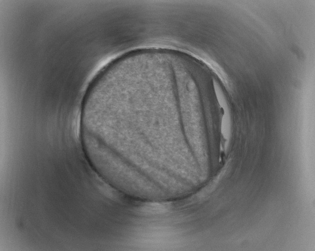 X0000116591224201001071227