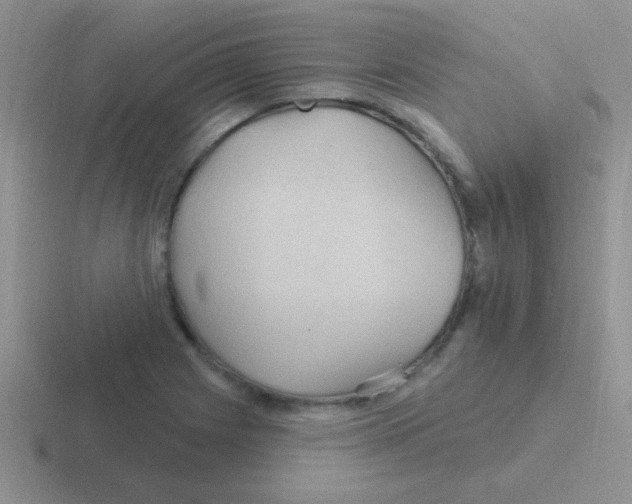 X0000116591225201001071227