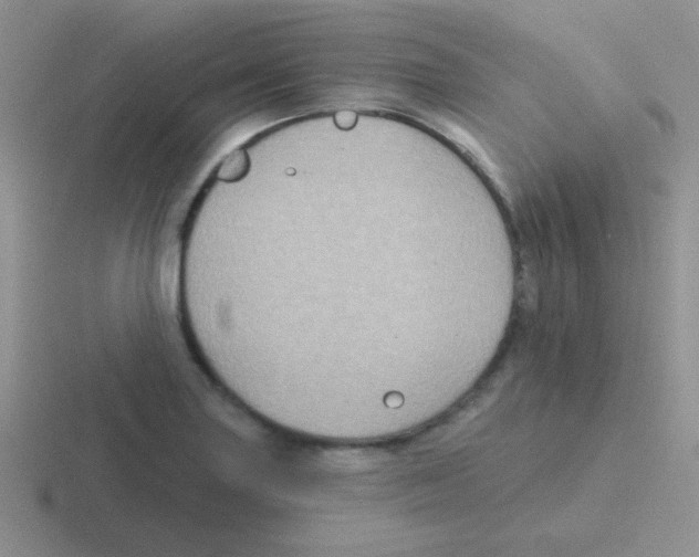 X0000116591227201001071227