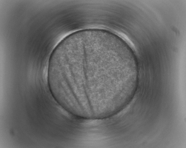 X0000116591228201001071227