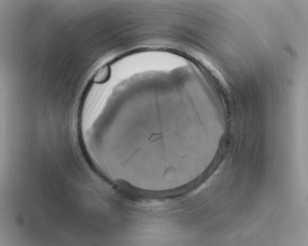 X0000116591229201001071227