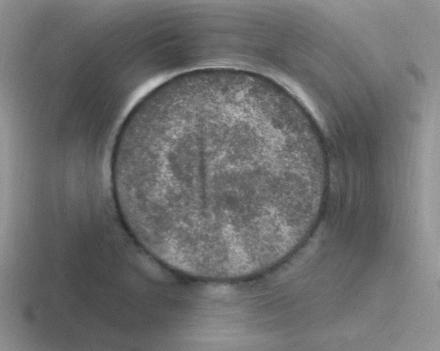 X0000116591230201001071227