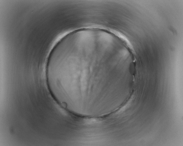 X0000116591231201001071227