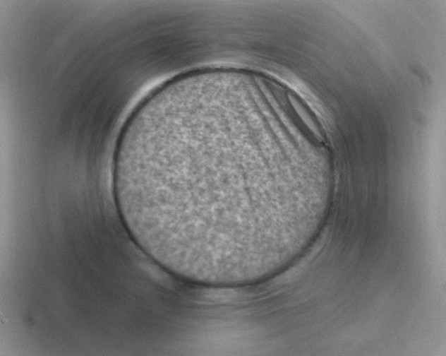 X0000116591232201001071227