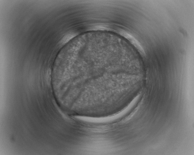 X0000116591233201001071227