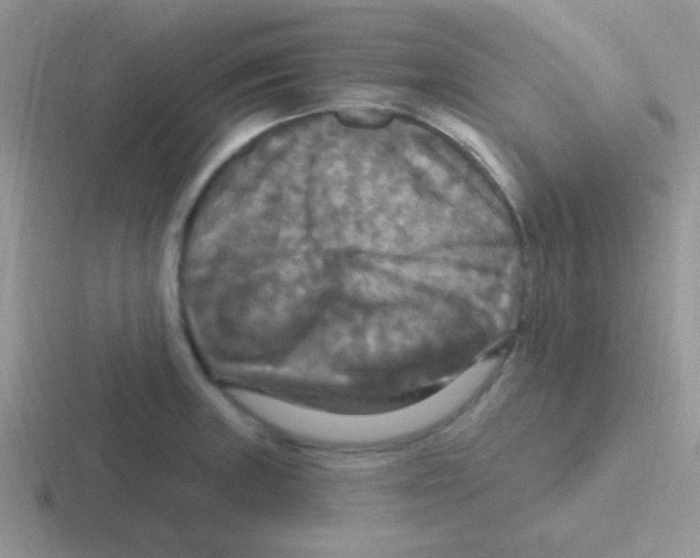 X0000116591235201001071227