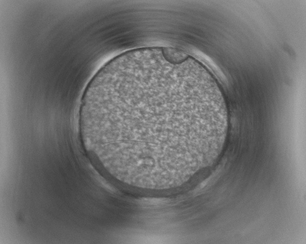 X0000116591236201001071227