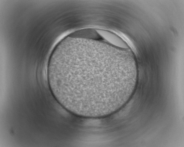 X0000116591238201001071227