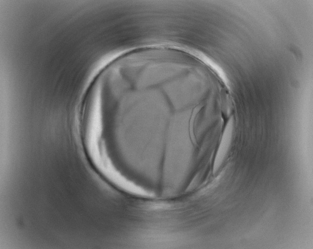 X0000116591239201001071227