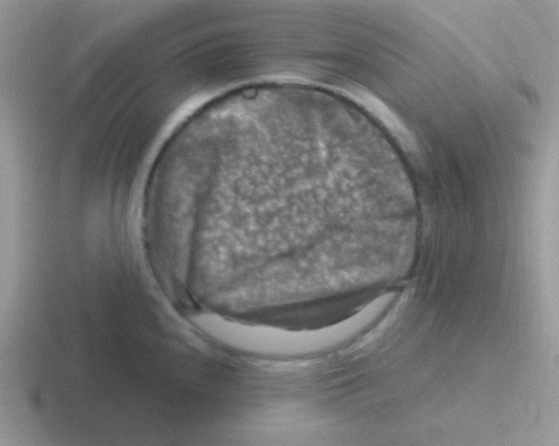 X0000116591240201001071228