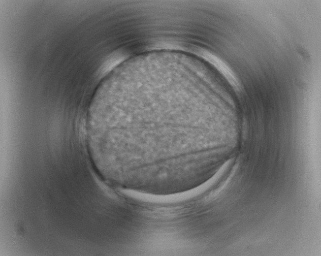 X0000116591241201001071228