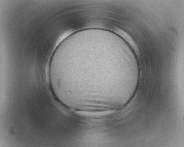 X0000116591242201001071228