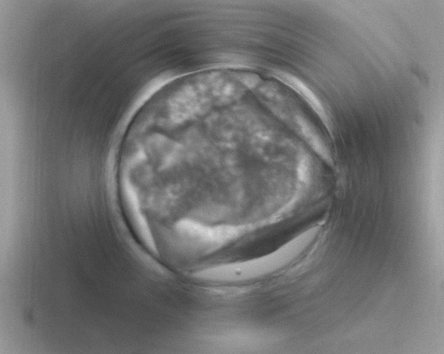 X0000116591243201001071228