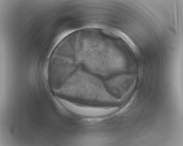 X0000116591244201001071228