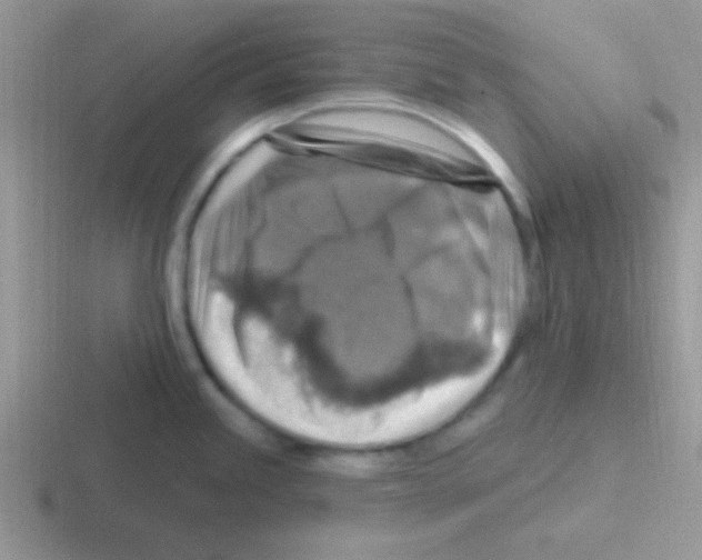 X0000116591245201001071228