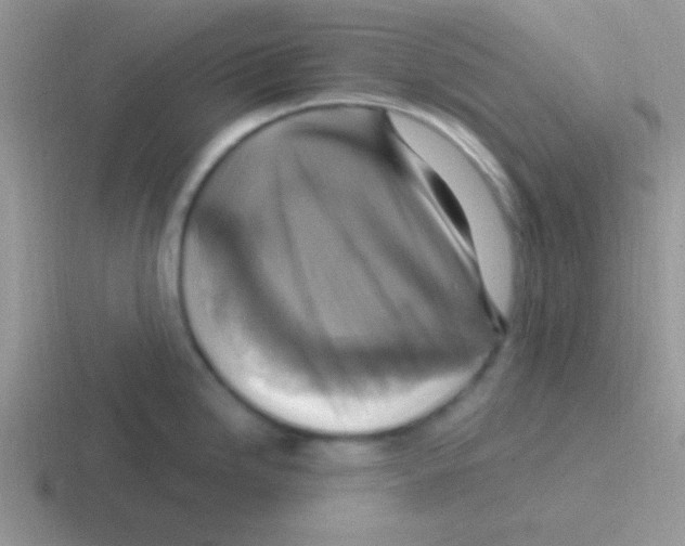 X0000116591246201001071228