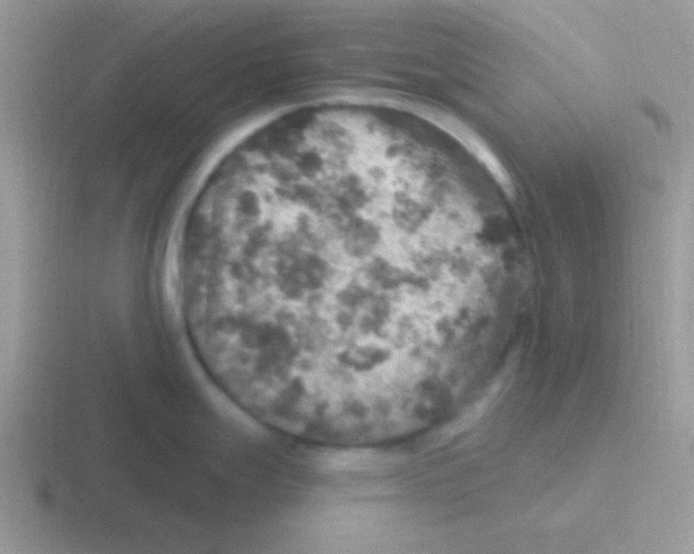 X0000116591247201001071228