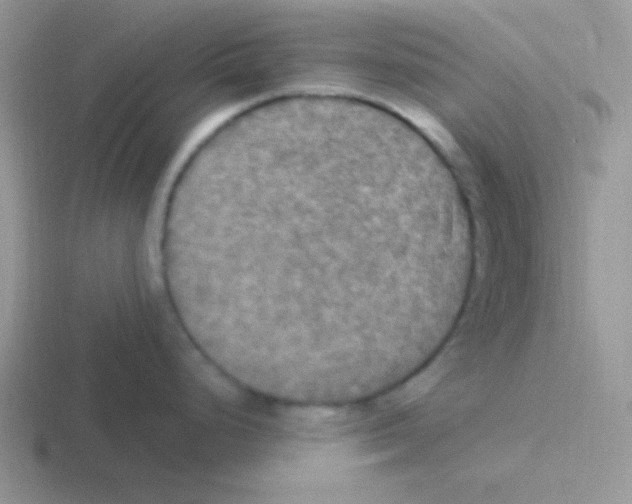 X0000116591248201001071228