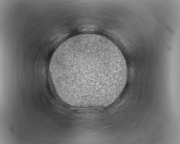 X0000116591250201001071227