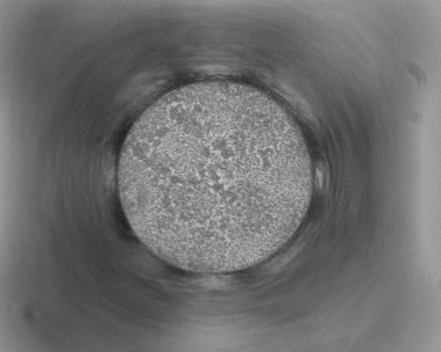 X0000116591251201001071227