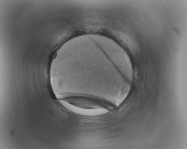 X0000116591252201001071227