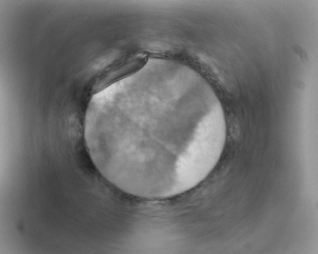 X0000116591253201001071227