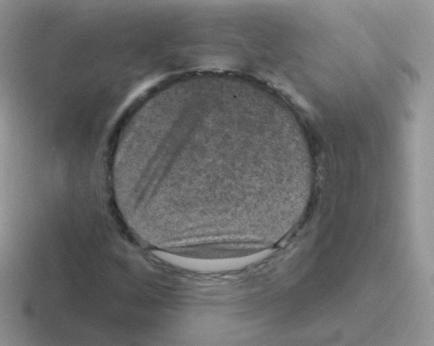 X0000116591256201001071227