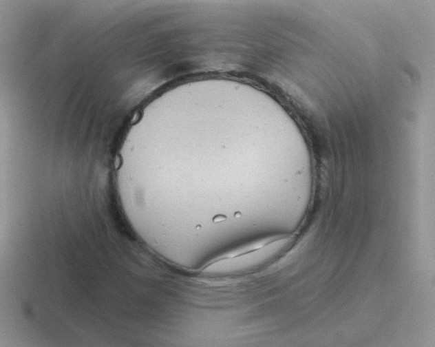 X0000116591257201001071227