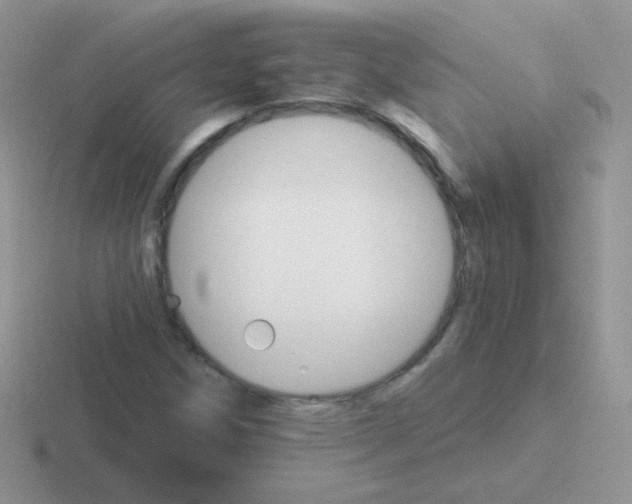 X0000116591258201001071227