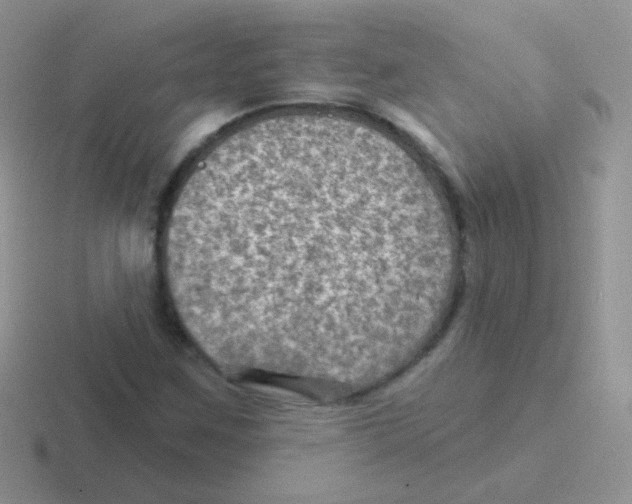 X0000116591259201001071227