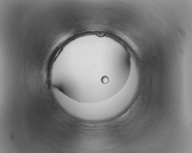 X0000116591261201001071227